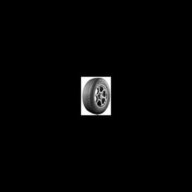 Foto pneumatico: ANTARES, POLYMAX 4S 185/60 R15 88H Quattro-stagioni