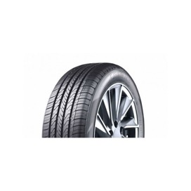 Foto pneumatico: APTANY, RP 203 195/60 R15 88V Estive