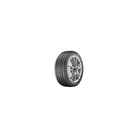 Foto pneumatico: AUSTONE, SP303 ATHENA 235/55 R18 104V Estive