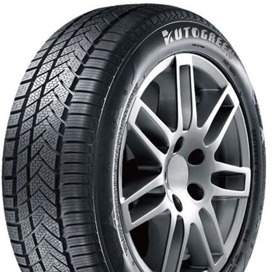 Foto pneumatico: AUTOGREEN, WINTER-MAX A1-WL5 255/40 R19 100V Invernali