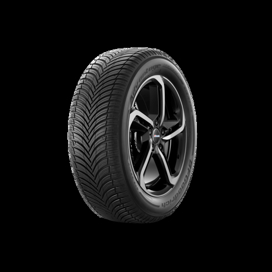 Foto pneumatico: BF Goodrich, ADVANTAGE ALL-SEASON 195/55 R16 87V Quattro-stagioni