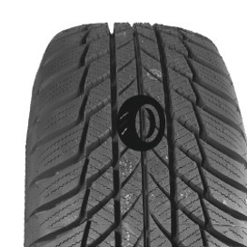 Foto pneumatico: BRIDGESTONE, DRIVEGUARD WINTER 205/60 R16 96H Invernali