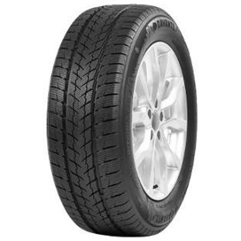 Foto pneumatico: DAVANTI, WINTOURA SUV 245/45 R20 103W Invernali