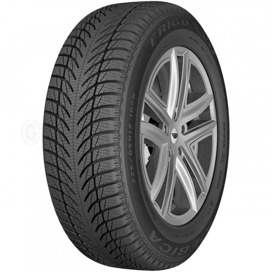 Foto pneumatico: DEBICA, frigo 2 235/60 R18 107H Invernali