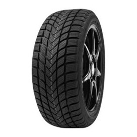 Foto pneumatico: DELINTE, WD6 205/50 R17 93H Invernali