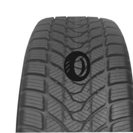 Foto pneumatico: DELINTE, WD1 195/55 R15 85H Invernali