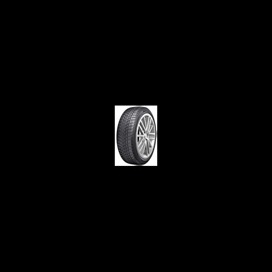 Foto pneumatico: Double Star, WINTERKING DW09 275/40 R20 106V Invernali