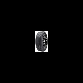 Foto pneumatico: Double Star, WINTERKING DW02 235/45 R18 94T Invernali