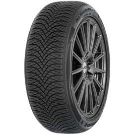 Foto pneumatico: Double Star, DW06 215/70 R15 109R Invernali