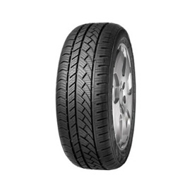 Foto pneumatico: FORTUNA, ecoplus 4s 205/55 R17 95W Quattro-stagioni