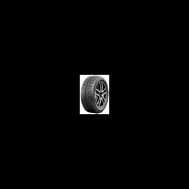 Foto pneumatico: GI TI, ALLSEASON AS1 205/55 R16 94V Quattro-stagioni