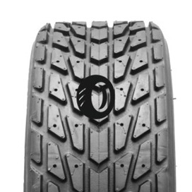 Foto pneumatico: GOLDSPEED, C-9205 CR 165/70 R10 27Q Quattro-stagioni