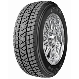 Foto pneumatico: GRIPMAX, Stature M/S 255/55 R20 110V Invernali