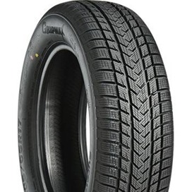 Foto pneumatico: GRIPMAX, Status Pro Winter 205/65 R17 100V Invernali