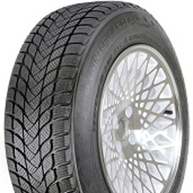 Foto pneumatico: LANDSAIL, WINTER LANDER NORDIC 225/45 R17 94T Invernali