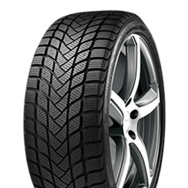 Foto pneumatico: LANDSAIL, WINTER LANDER 195/45 R16 84H Invernali