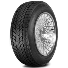 Foto pneumatico: LANDSAIL, winter lander 225/40 R18 92V Invernali