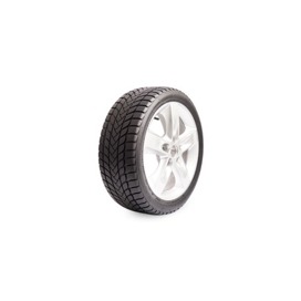 Foto pneumatico: LANDSAIL, WINTER LANDER 205/55 R17 95h Invernali