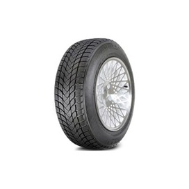 Foto pneumatico: LANDSAIL, WINTER LANDER NORDIC 225/40 R18 92T Invernali