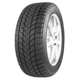Foto pneumatico: Master Steel, WINTER + 225/55 R17 97H Invernali
