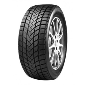 Foto pneumatico: Master Steel, WINTER + 225/40 R18 92H Invernali