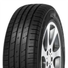 Foto pneumatico: MINERVA, EcoSpeed 2 285/45 R21 113Y Estive