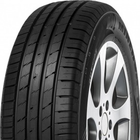 Foto pneumatico: MINERVA, EcoSpeed 2 295/40 R21 111Y Estive