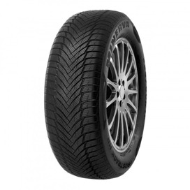 Foto pneumatico: MINERVA, FROSTRACK UHP 225/55 R17 101V Invernali
