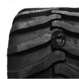 Foto pneumatico: MITAS, TR12 600/40 R22.5 161A8 Quattro-stagioni