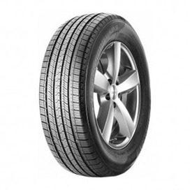 Foto pneumatico: MILESTONE, GVA 01 205/65 R16 107T Estive