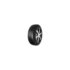 Foto pneumatico: PETLAS, EXPLERO WINTER W671 235/55 R19 105V Invernali