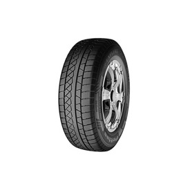 Foto pneumatico: PETLAS, EXPLERO WINTER W671 205/55 R19 97H Invernali
