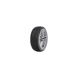 Foto pneumatico: RADAR, DIMAX ALPINE 185/60 R15 88T Invernali