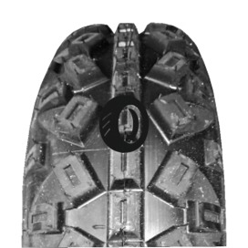 Foto pneumatico: SUN-F, A-035 FRONT 6/ R10 35N Quattro-stagioni