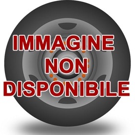 Foto pneumatico: SUNFULL, SF-983 205/55 R17 95V Quattro-stagioni