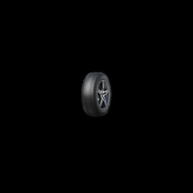 Foto pneumatico: TOURADOR, winter pro ts1 215/65 R16 98H Invernali