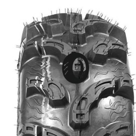 Foto pneumatico: WANDA TYRE, P375 11/ R10 53J Quattro-stagioni