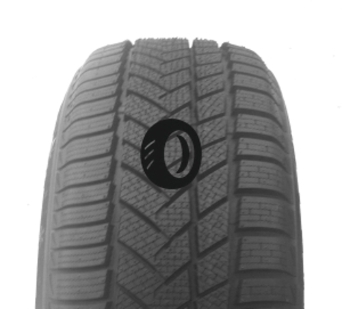 Foto pneumatico: APTANY, RW211 205/55 R16 91H Invernali