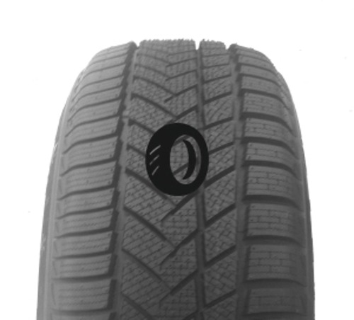 Foto pneumatico: AUTOGREEN, WINTER-MAX A1-WL5 245/45 R19 102V Invernali