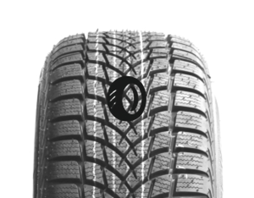 Foto pneumatico: DAYTON, DW510 EVO 185/55 R15 82T Invernali