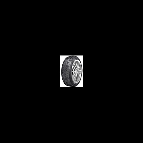 Foto pneumatico: Double Star, WINTERKING DW09 275/40 R20 106V Invernali