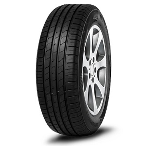 Foto pneumatico: MINERVA, ECOSPEED 2 SUV 275/30 R21 98Y Estive