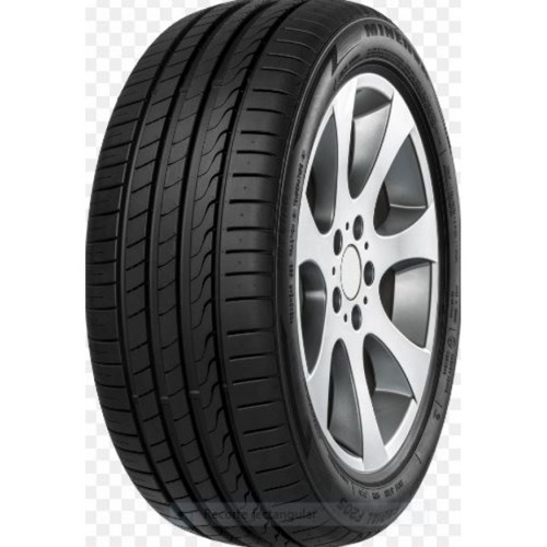 Foto pneumatico: MINERVA, F205 205/45 R17 88W Estive