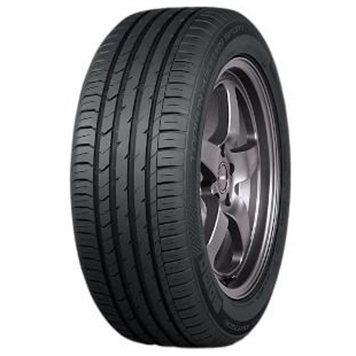 Foto pneumatico: MOMO, TOPRUN M300 AS SPORT 205/40 R17 84W Estive