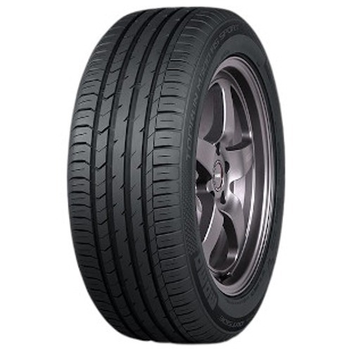 Foto pneumatico: MOMO, TOPRUN M300 AS SPORT 205/55 R16 94V Estive
