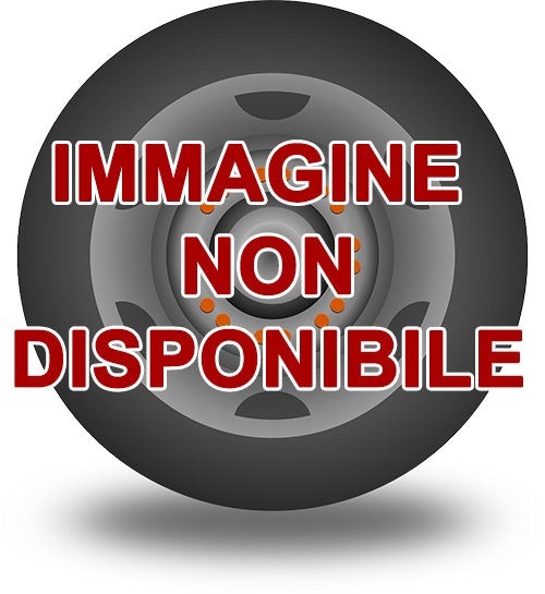 Foto pneumatico: SUNFULL, SF-983 205/55 R17 95V Quattro-stagioni